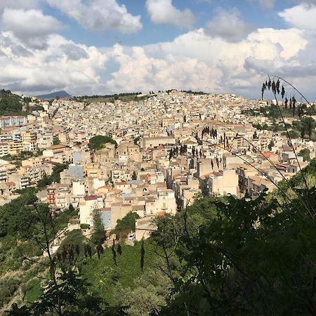 カラタフィーミLa Domus Di Segesta "Smart Solution"アパートメント エクステリア 写真