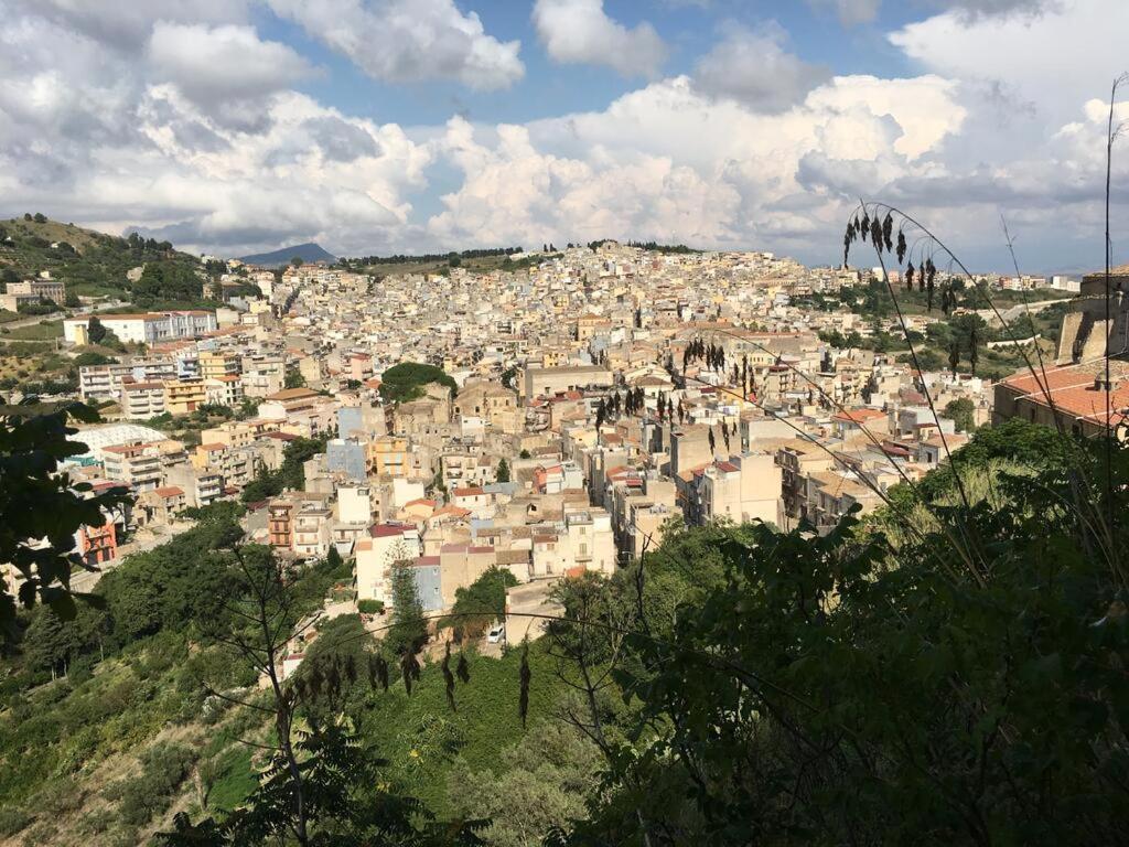 カラタフィーミLa Domus Di Segesta "Smart Solution"アパートメント エクステリア 写真